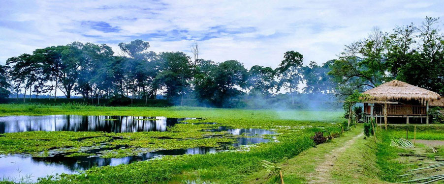 majuli tour