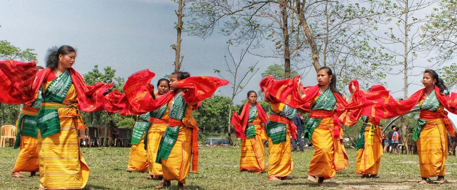 manas bihu festival